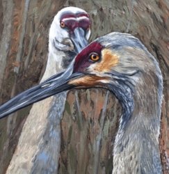 Sandhill Cranes Mike Handley, Montgomery county, painting, crane, bird, sandhill cranes