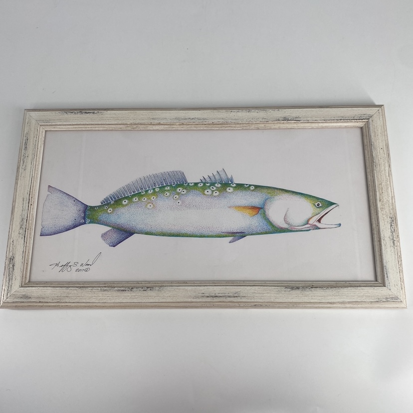 Speckled Trout  speckled trout, trout, pen & ink, framed