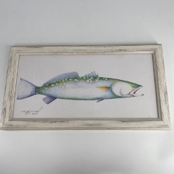 Speckled Trout  speckled trout, trout, pen & ink, framed