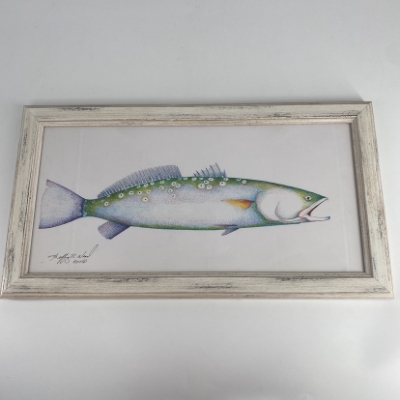 Speckled Trout  speckled trout, trout, pen & ink, framed