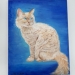 Tiger Cat - 016399