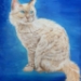 Tiger Cat - 016399
