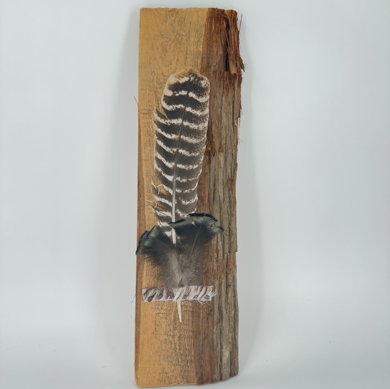 Turkey Feather on Wood fur and feather of millers ferry, millers ferry, fur and feather, turkey feather on wood, 