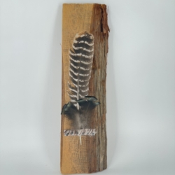 Turkey Feather on Wood fur and feather of millers ferry, millers ferry, fur and feather, turkey feather on wood, 