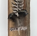 Turkey Feather on Wood - 13917