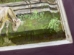 Watering Hole - 13012