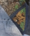 Zoo PickQuilted Table Topper - 12483