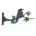 Blue Bird on a Limb - 8335b