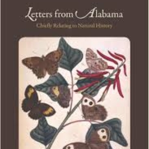 Letters from Alabama book, letters from alabama, alabama history, history
